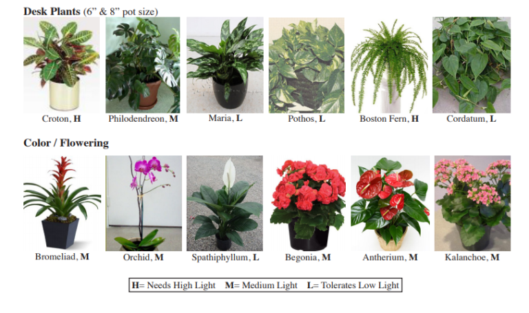 Plant Selection Guide - LA PLANT COMPANY