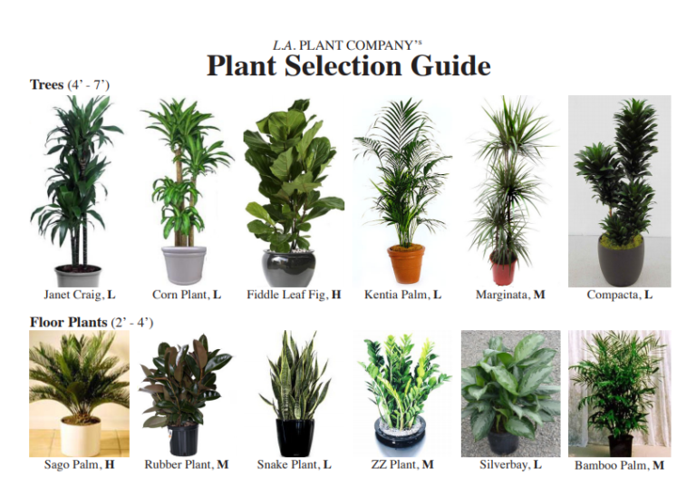 Plant Selection Guide - LA PLANT COMPANY